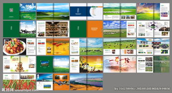 融合新疆風(fēng)情與現(xiàn)代科技 新疆特產(chǎn)公司畫冊(cè)圖片軟件銷售方案